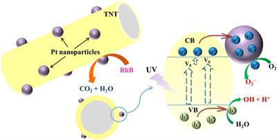 Synthesis and Photocatalytic Activity of Pt-Deposited TiO2 Nanotubes (TNT) for Rhodamine B Degradation